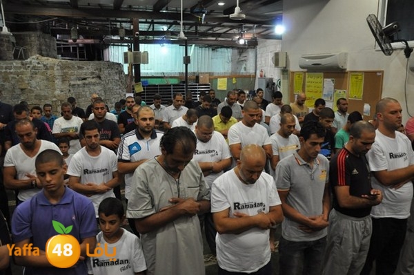 msajed amer qder 804 (39).JPG